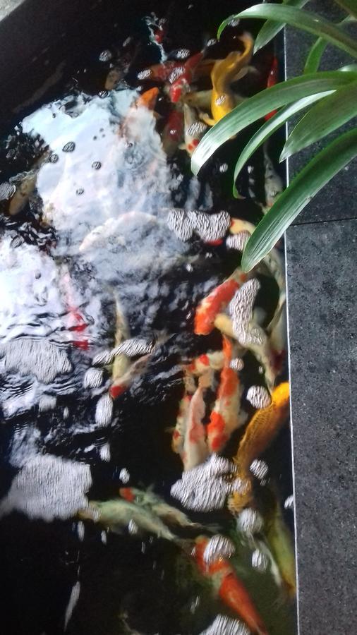 Khach San Hiep Yen Hotel Tuy Hoa Exterior photo